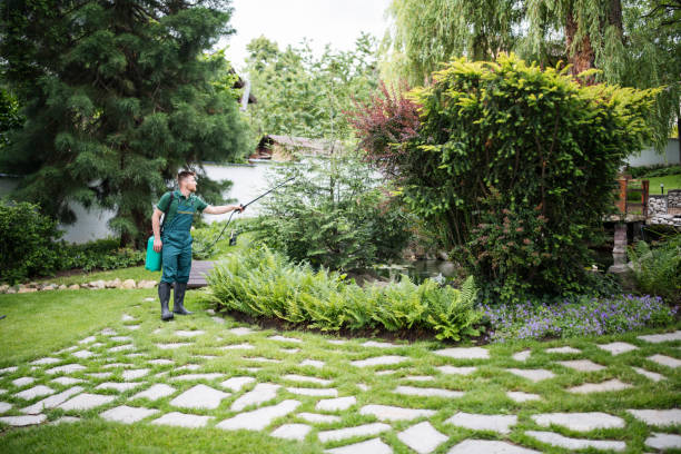 Reliable Verona, KY Tree Services Solutions